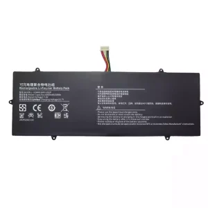 Batterie pour ordinateur portable V2988129PV-2S1P