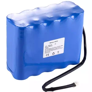 Nouvelle batterie pour Cadnica 20KR-CH