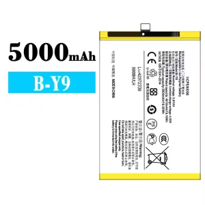 Batterie B-Y9 pour VIVO