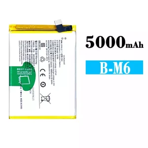 Batterie B-M6 pour VIVO