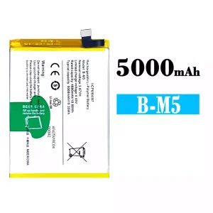 Batterie B-M5 pour VIVO