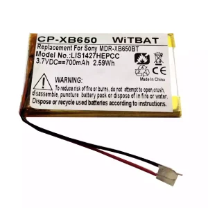 Batterie de remplacement pour casque Sony NW-A25, NW-A26, NW-A27, NWZ-E463, NWZ-E464, NWZ-S764