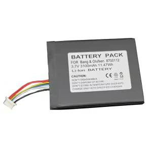 Batterie de remplacement pour haut-parleur Bang & Olufsen BeoSound Moment,8700112