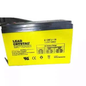 Batterie pour LEAD CRYSTAL 6-CNFJ-14