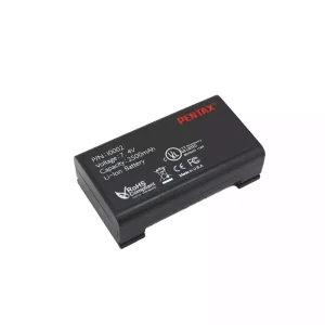Batterie pour Pentax 10002 LGN-100 R202NES/X102NS BL200