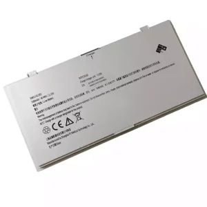 Batterie pour PZ 306011411501 306011411502
